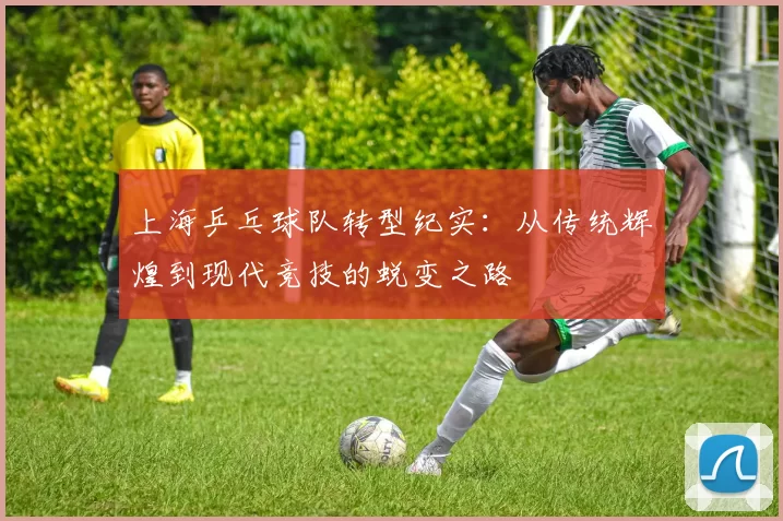上海乒乓球队转型纪实：从传统辉煌到现代竞技的蜕变之路