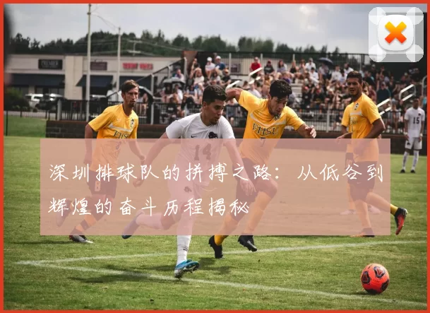 深圳排球队的拼搏之路：从低谷到辉煌的奋斗历程揭秘