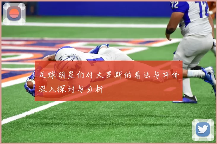 足球明星们对大罗斯的看法与评价深入探讨与分析