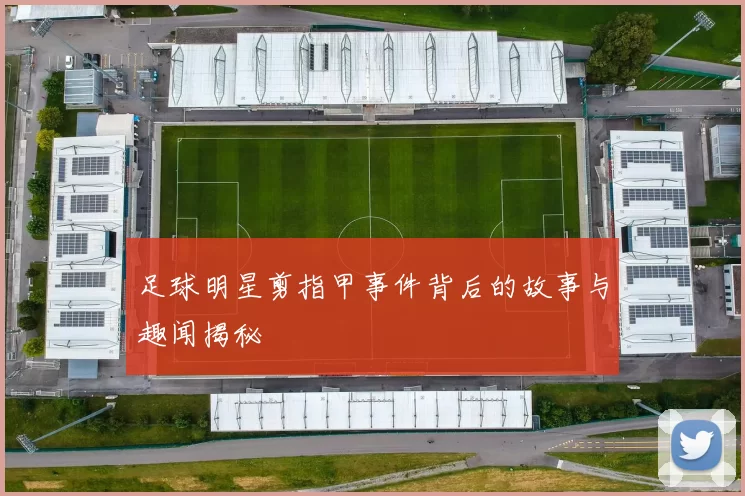 足球明星剪指甲事件背后的故事与趣闻揭秘