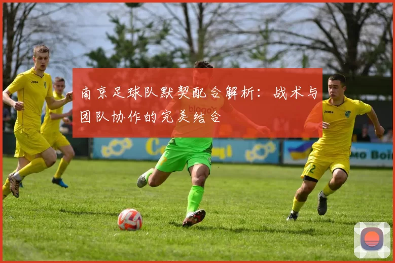 南京足球队默契配合解析：战术与团队协作的完美结合