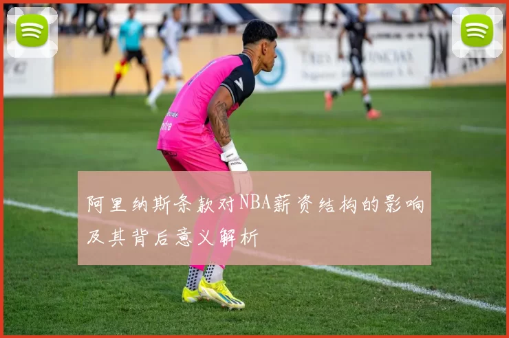 阿里纳斯条款对NBA薪资结构的影响及其背后意义解析