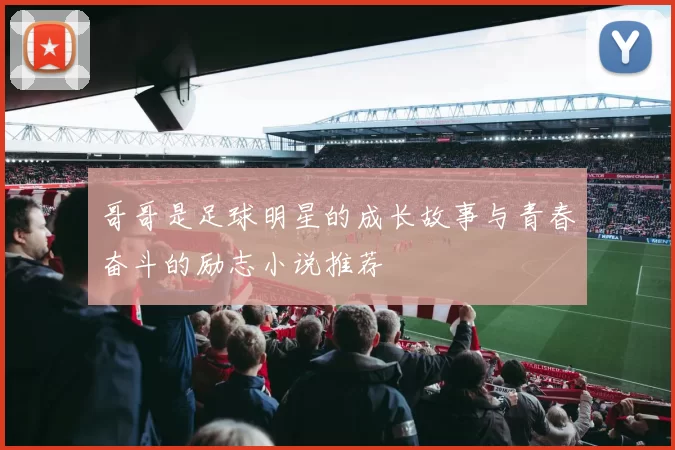 哥哥是足球明星的成长故事与青春奋斗的励志小说推荐