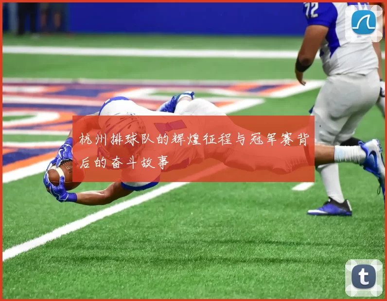 杭州排球队的辉煌征程与冠军赛背后的奋斗故事