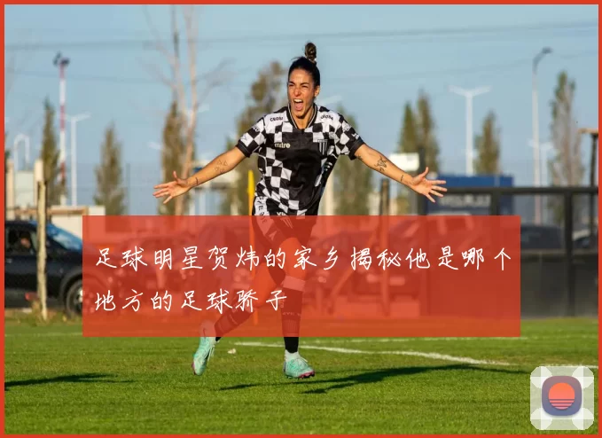 足球明星贺炜的家乡揭秘他是哪个地方的足球骄子