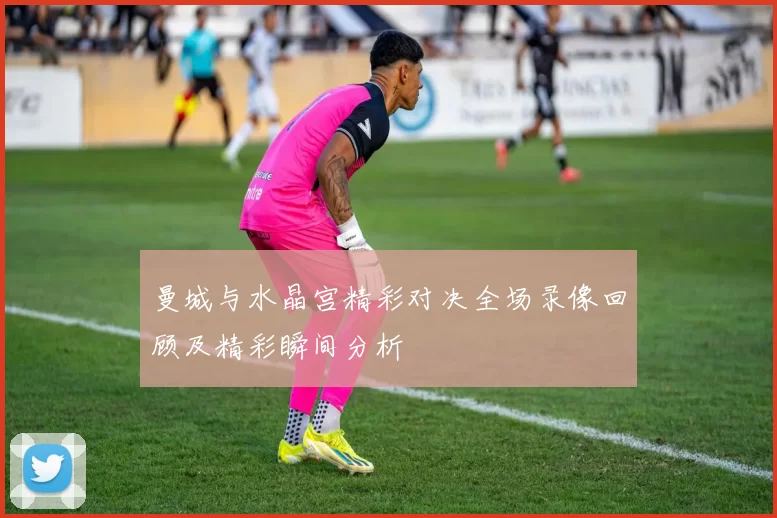 曼城与水晶宫精彩对决全场录像回顾及精彩瞬间分析