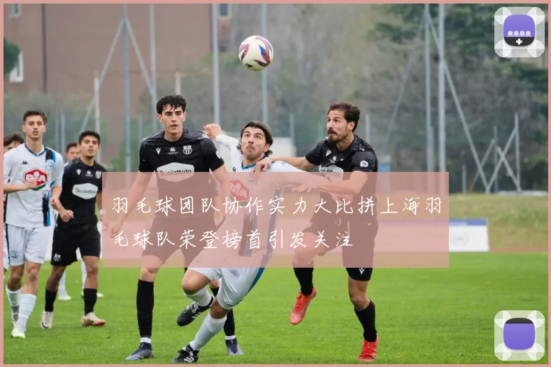 羽毛球团队协作实力大比拼上海羽毛球队荣登榜首引发关注