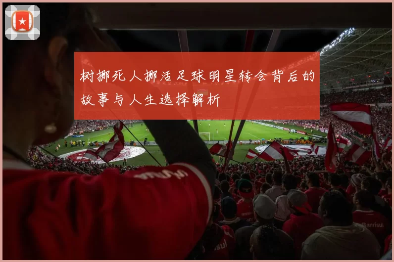 树挪死人挪活足球明星转会背后的故事与人生选择解析