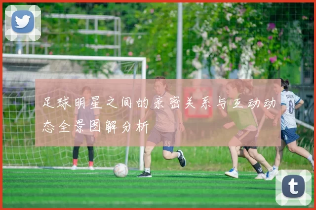 足球明星之间的亲密关系与互动动态全景图解分析