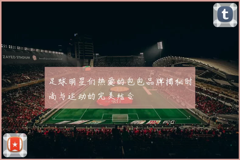 足球明星们热爱的包包品牌揭秘时尚与运动的完美结合