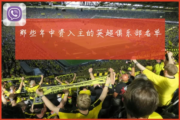 那些年中资入主的英超俱乐部名单