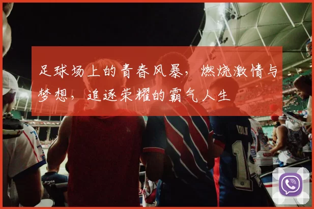 足球场上的青春风暴，燃烧激情与梦想，追逐荣耀的霸气人生
