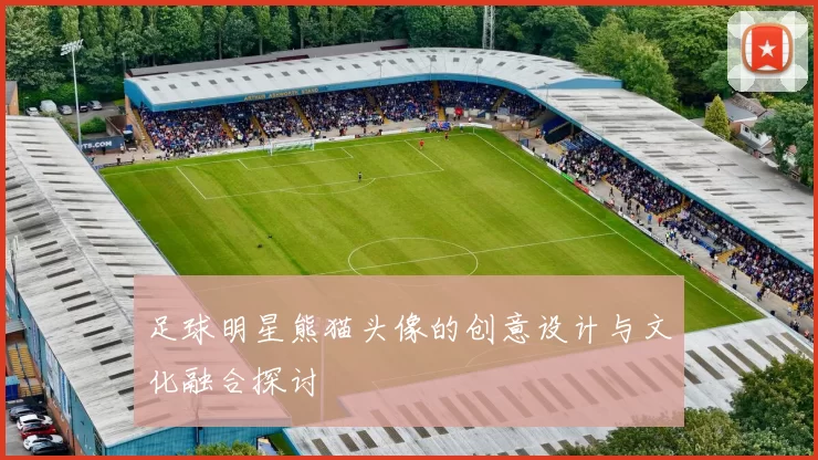足球明星熊猫头像的创意设计与文化融合探讨