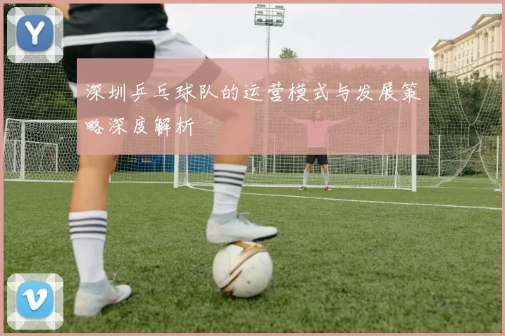 深圳乒乓球队的运营模式与发展策略深度解析