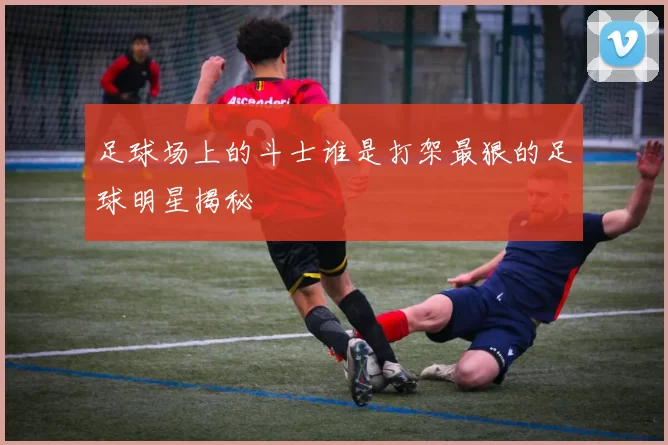 足球场上的斗士谁是打架最狠的足球明星揭秘