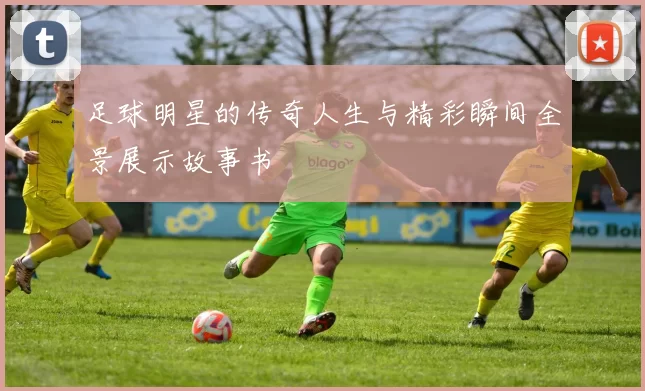 足球明星的传奇人生与精彩瞬间全景展示故事书
