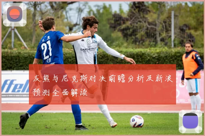 灰熊与尼克斯对决前瞻分析及新浪预测全面解读