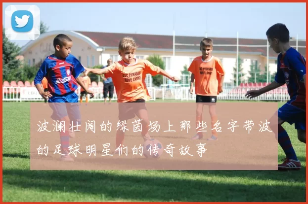波澜壮阔的绿茵场上那些名字带波的足球明星们的传奇故事